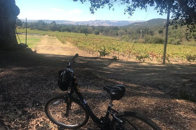 independent-hassle-free-bike-rental-in-sonoma