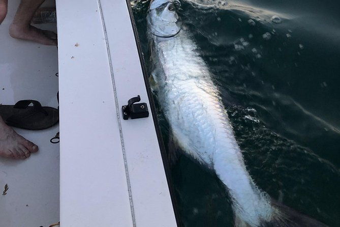 inshore-sport-fishing-with-local-guide-2