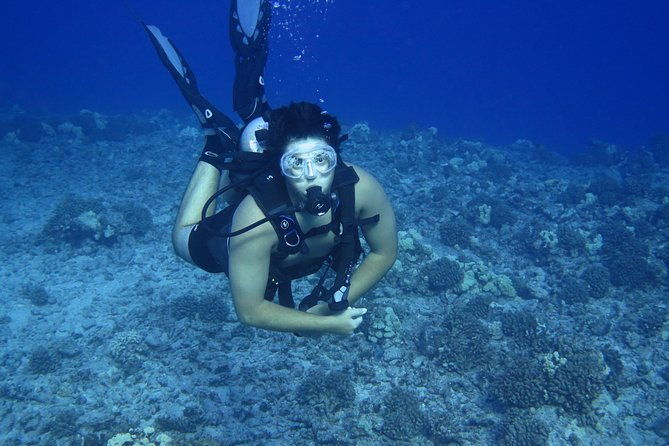 introductory-beach-scuba-dive