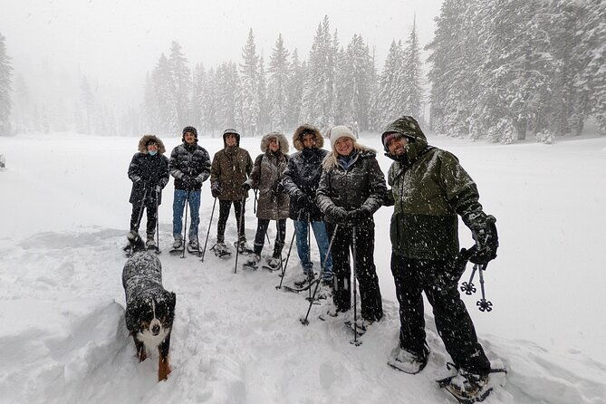 introductory-snowshoe-shared-experience