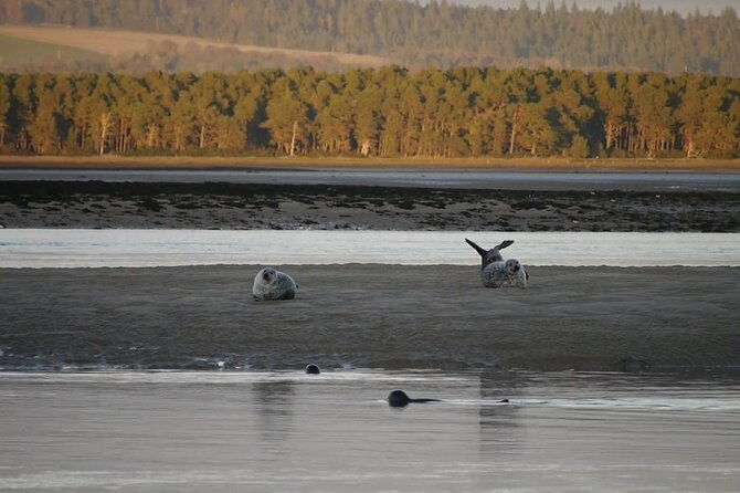 invergordon-shore-excursion-dunrobin-castle-dornoch-loch-fleet