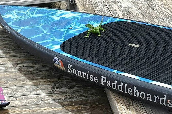 island-city-eco-paddle-and-lesson-to-9-3-acre-nature-preserve