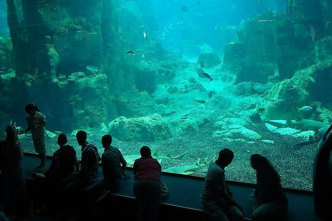 istanbul-aquarium-and-aqua-florya-independent-shopping-trip-2