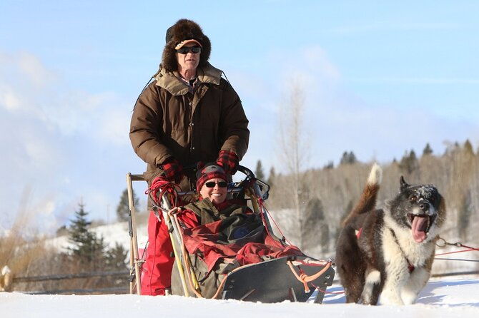 jackson-hole-full-day-dog-sledding-and-snowmobiling-combo-trip
