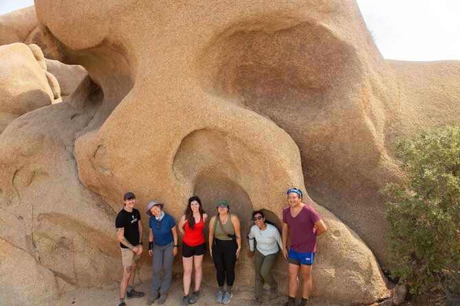 joshua-tree-full-day-private-tour-and-hike