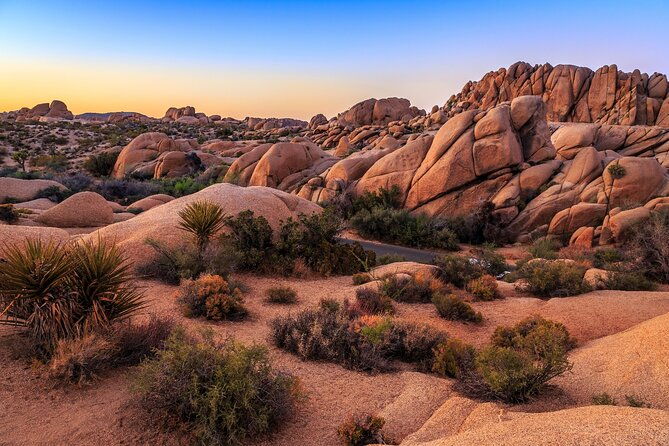 joshua-trees-hidden-valley-self-guided-walking-tour