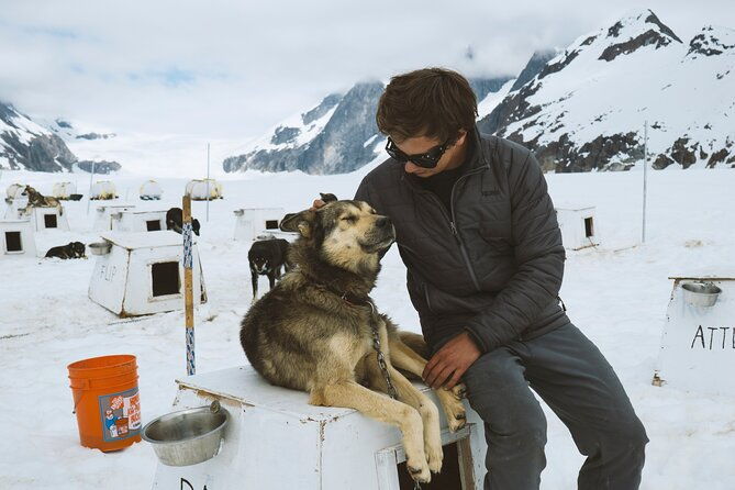 juneau-shore-excursions-helicopter-dogsledding-experience-and-additional-glacier-landing