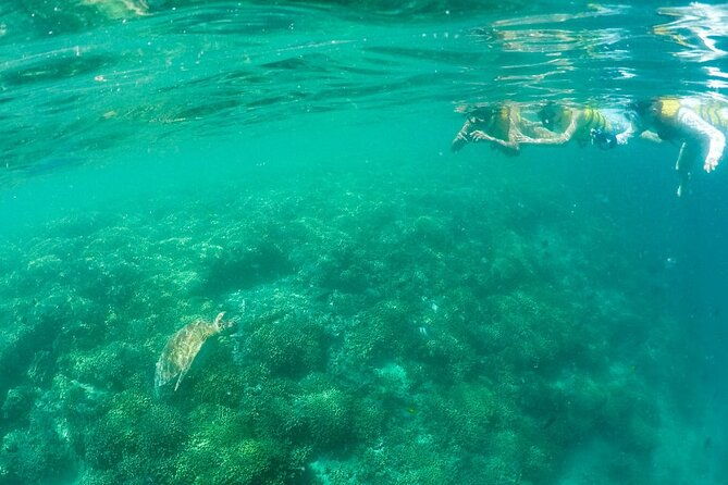 kaneohe-sandbar-snorkeling-tour-1st-tour