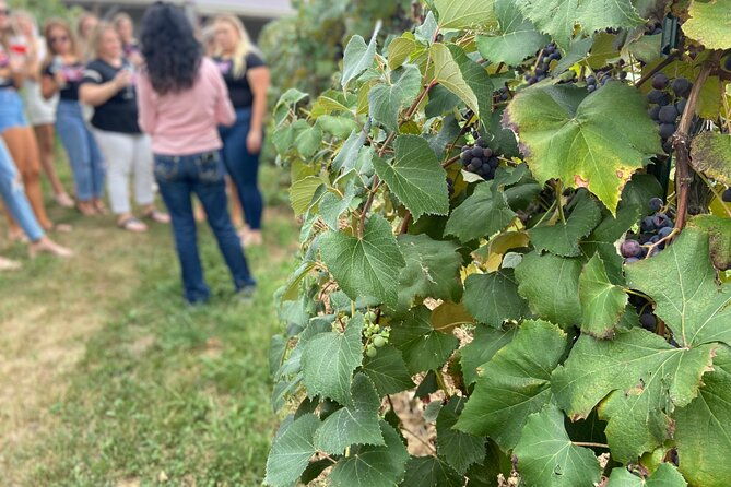 kansas-city-brewery-winery-and-distillery-tour