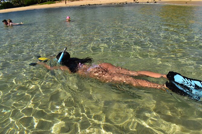 kauai-snorkeling-adventure