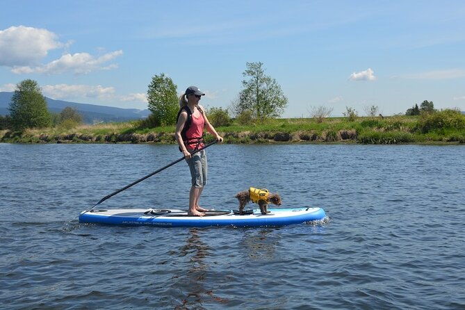 kayak-or-paddleboard-rentals-sosua-beach