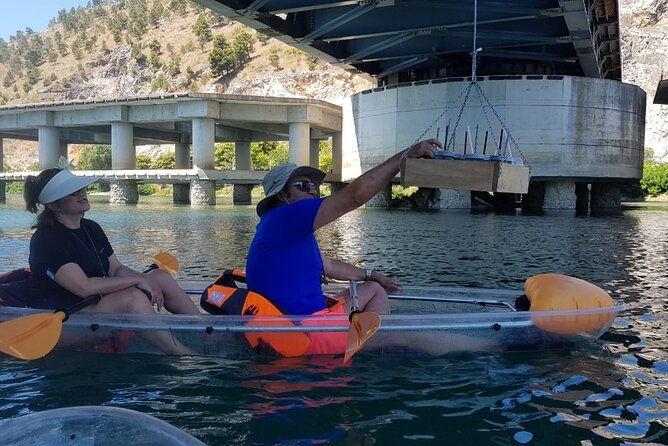 kayak-or-stand-up-paddle-in-shkodra-lake-and-buna-river