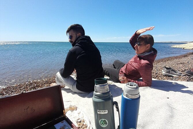 kayak-paddling-experience-with-sea-lions-in-puerto-madryn