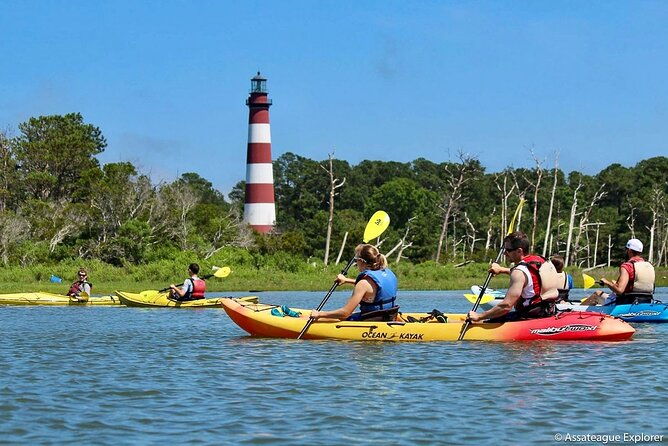 kayak-tour-along-assateague-chincoteague-island-virginia-2