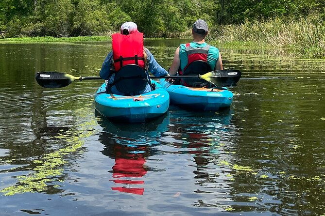kayak-tour-of-the-honey-island-swamp-and-backwaters