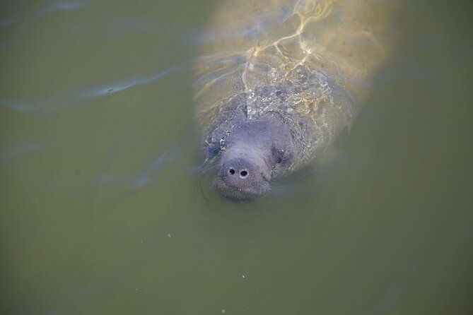 kayak-trip-1-wet-hike-2-dry-hikes-in-everglades-national-park