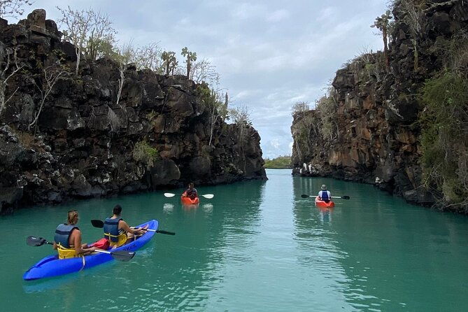 kayaking-experience-in-franklin-bay