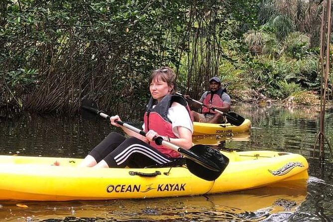 kayaking-tour-in-gandoca-lagoon-throug-mangrove-forest