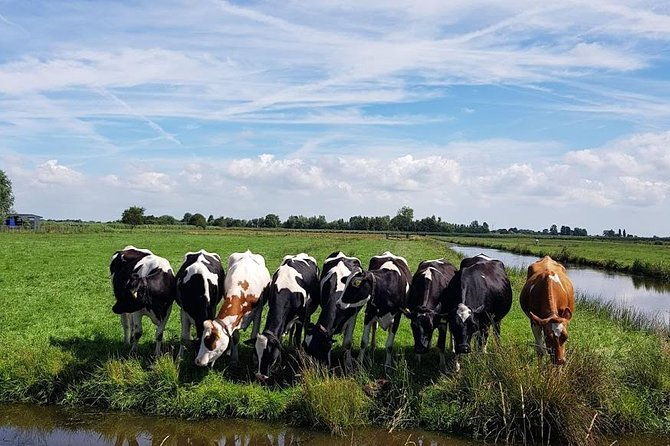 keukenhof-skip-the-line-tickets-countryside-farm-private-tour