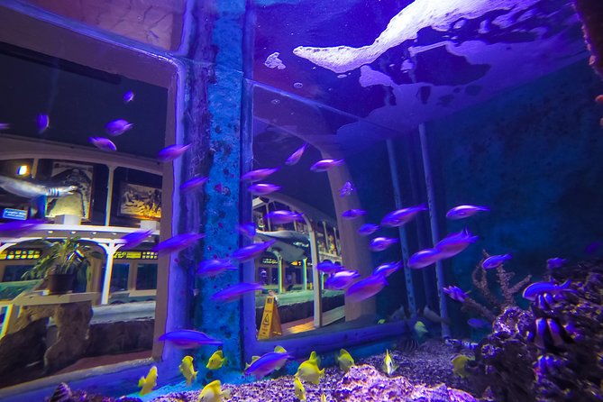 key-west-aquarium-admission