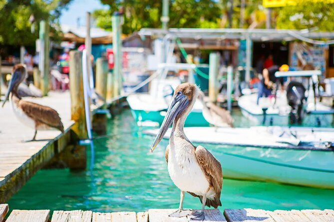 key-west-overseas-hwy-self-guided-driving-audio-tour-florida