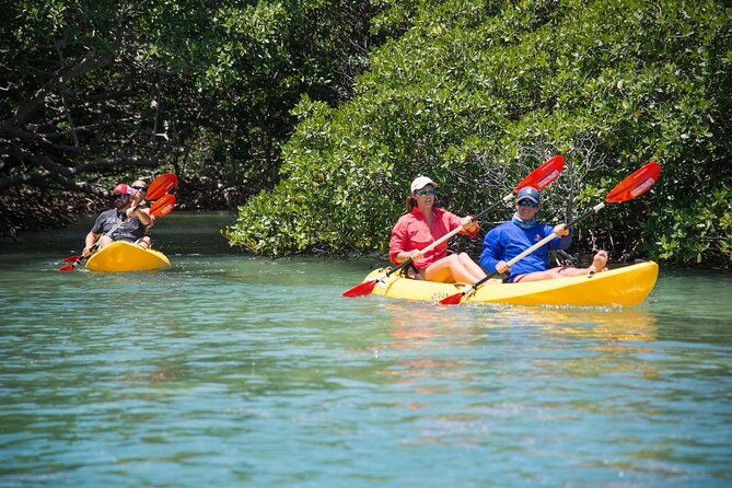 key-west-schooner-backcountry-eco-tour-sail-snorkel-and-kayak