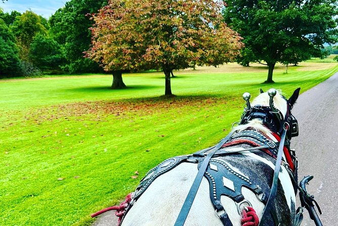 killarney-jaunting-car-tour