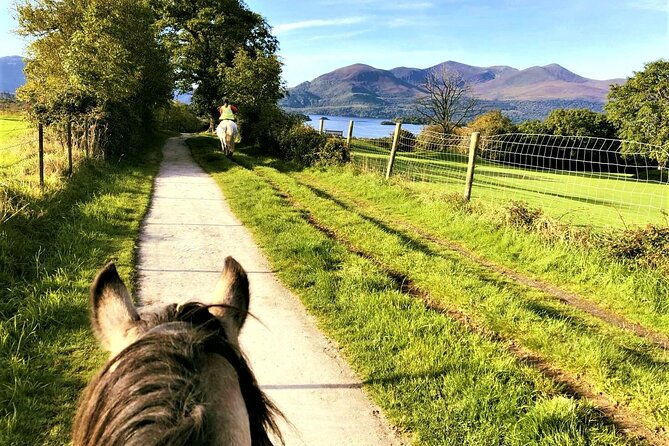 killarney-national-park-horseback-ride-co-kerry-guided-3-hours-2
