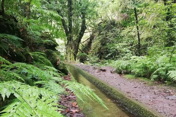 kings-levada-sao-jorge