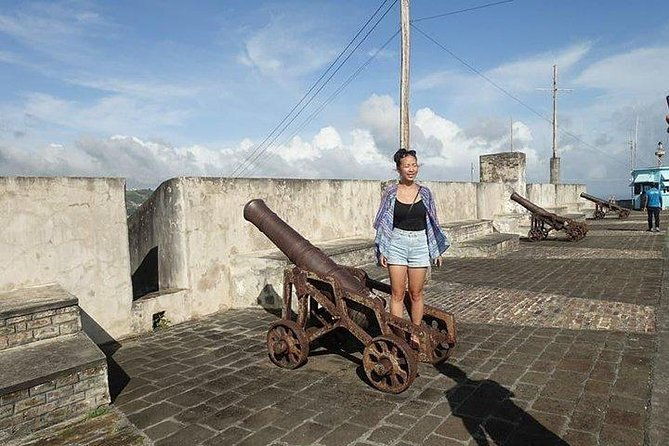 kingstown-botanical-gardens-fort-charlotte-and-beach-w-topdawg-taxi-and-tours