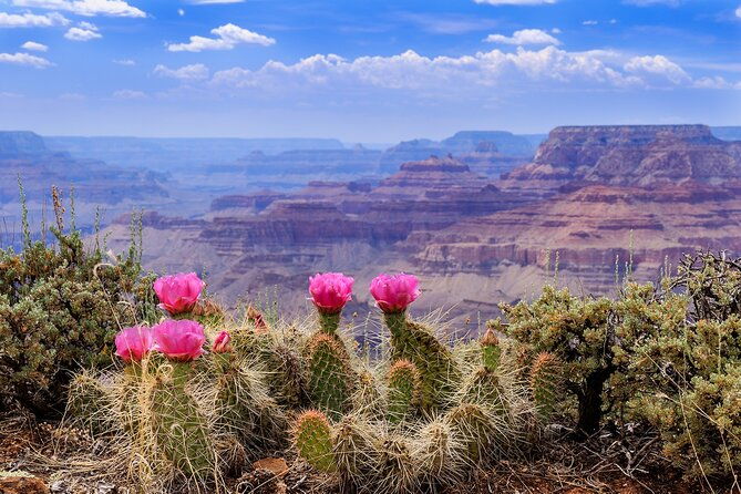 la-vegas-grand-canyon-antelope-and-bryce-zion-4-day-tour