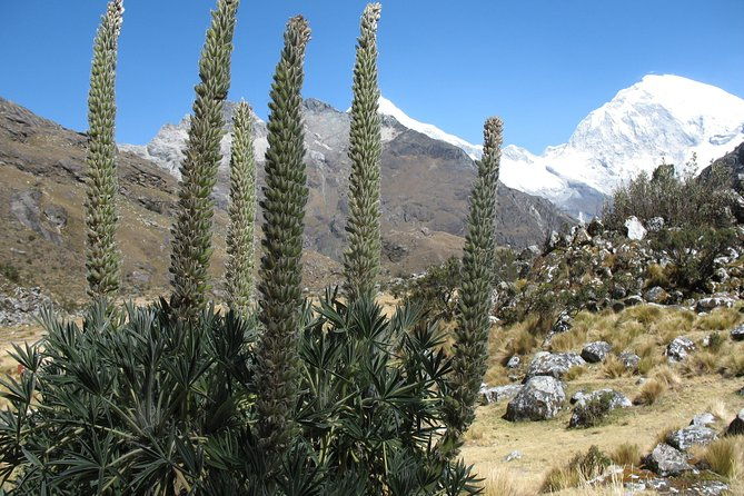 lake-69-full-day-hiking-tour-from-huaraz