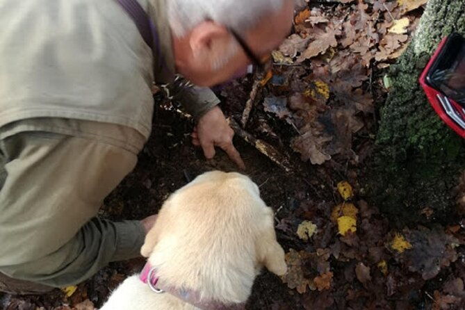 langhe-truffle-hunting-experience