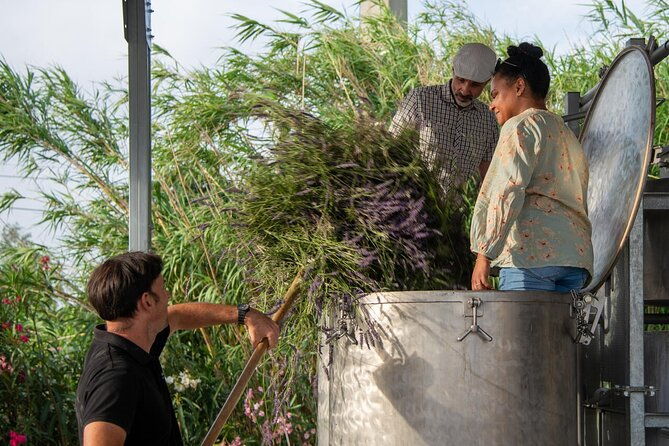lavender-harvesting-and-distillation-workshop-in-bellegarde