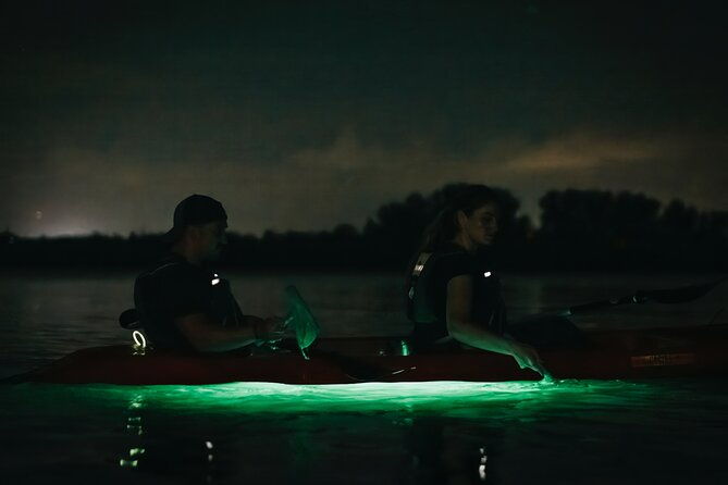 led-bio-comb-jelly-clear-bottom-kayak-or-paddleboard-tour