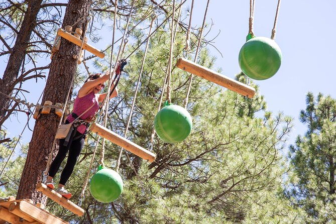 ledgewood-adventure-course