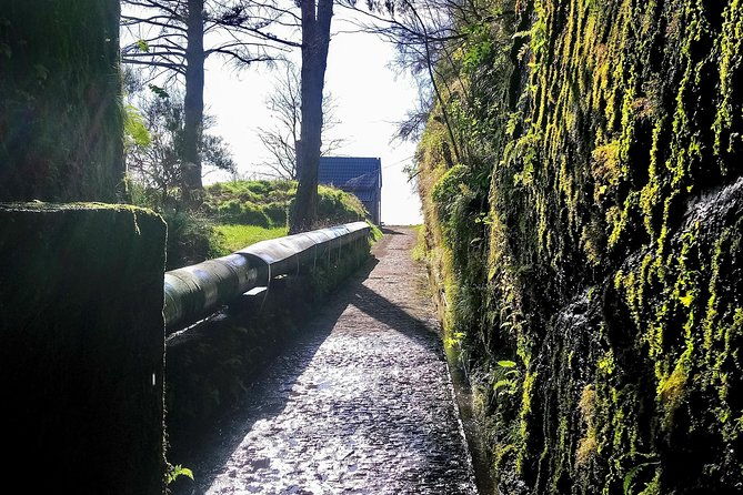 levada-waterfalls-hike-25-fountains-rabacal-risco-more-challenging-walk