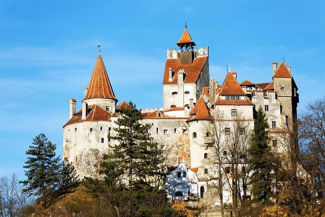 libearty-brown-bear-sanctuary-and-the-real-dracula-tour