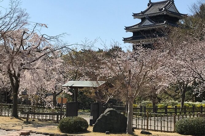 little-kyoto-nishio-enjoy-matcha-the-first-classic-book-museum