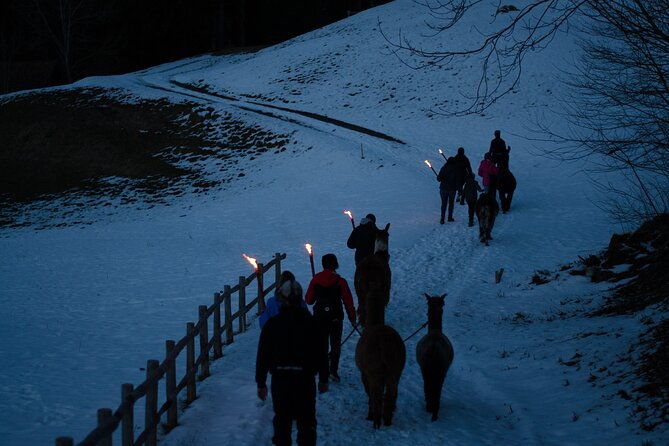 llama-hike-with-homemade-traditional-cheese-fondue