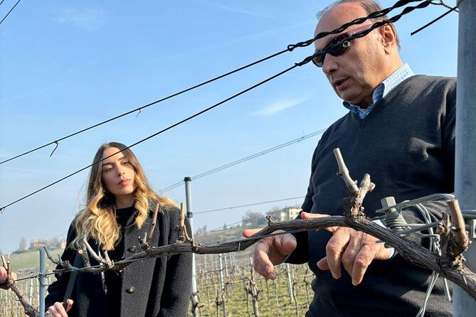 local-wines-and-traditional-balsamic-experience