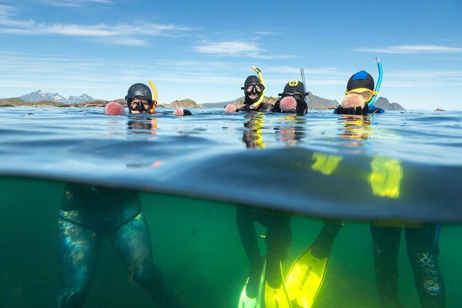 lofoten-grand-canyon-snorkeling-tour