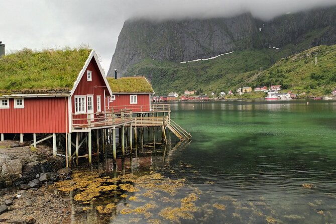 lofoten-vip-private-tour-from-leknes-city-port-4