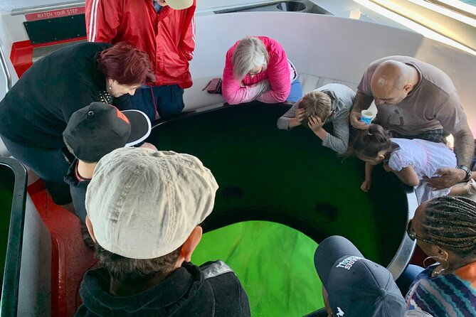 long-beach-glass-bottom-boat-eco-tour