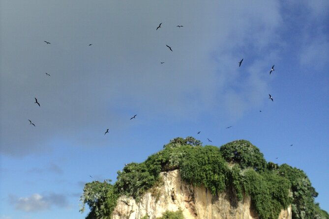 los-haitises-national-park-and-cayo-levantado-island-day-trip-from-samana