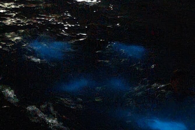 luminous-lagoon-glistening-waters-private-tour-from-montego-bay