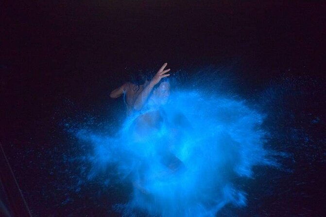 luminous-lagoon-night-tour