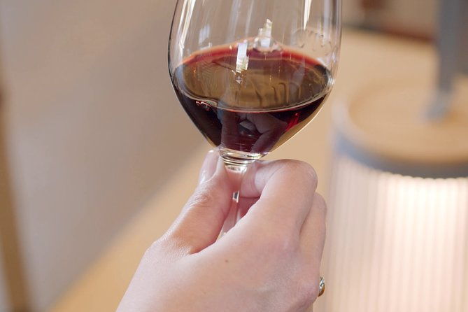 luxurious-full-day-bordeaux-wine-tour-in-a-tesla