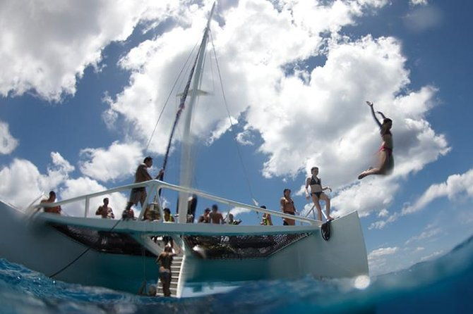 luxury-hawaiian-sea-turtle-dolphin-sail-and-kona-snorkel-2