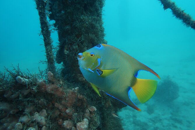 luxury-snorkeling-on-your-vacation-exclusively-private-guaranteed